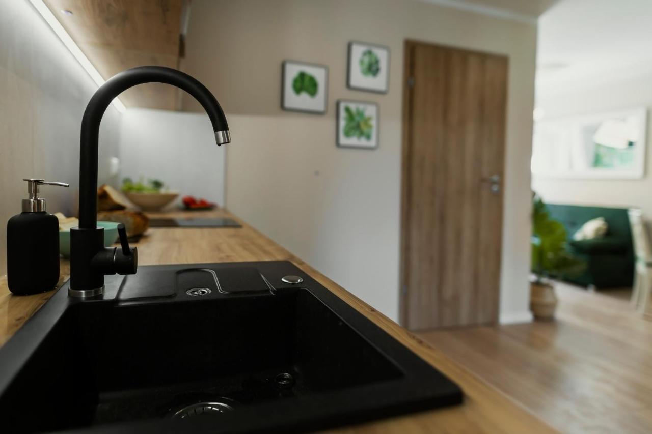 Apartamenty Willove Wzgorze Duszniki Zdrój Dış mekan fotoğraf
