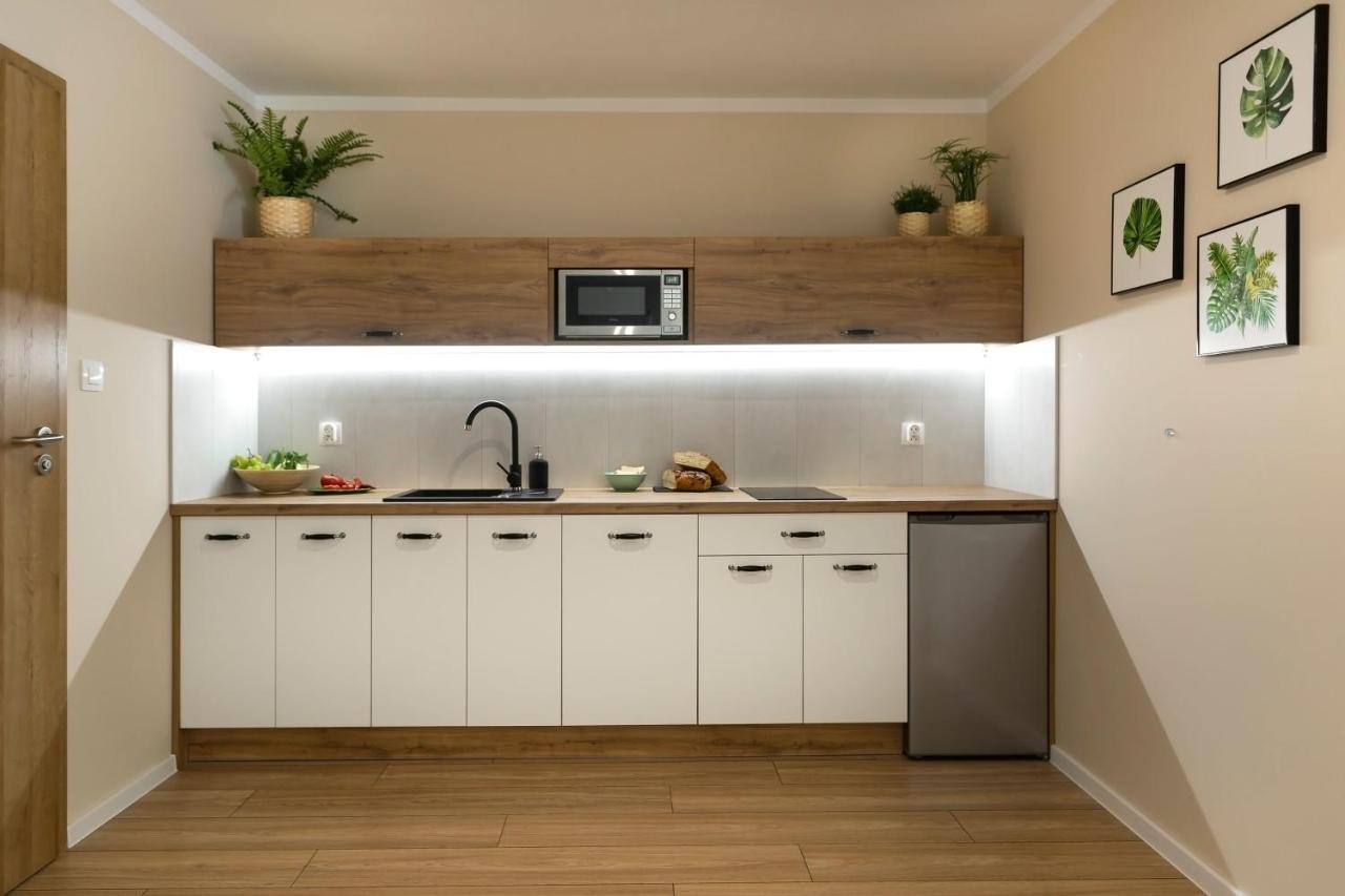 Apartamenty Willove Wzgorze Duszniki Zdrój Dış mekan fotoğraf