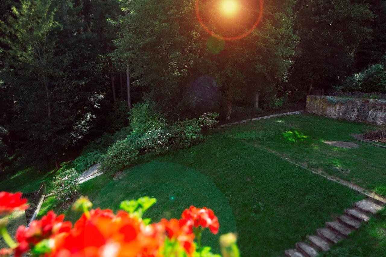 Apartamenty Willove Wzgorze Duszniki Zdrój Dış mekan fotoğraf