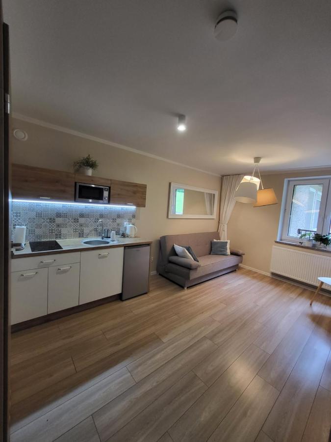 Apartamenty Willove Wzgorze Duszniki Zdrój Dış mekan fotoğraf